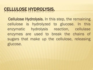 bioprocess and Bioreactor presentation.pdf