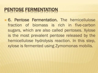 bioprocess and Bioreactor presentation.pdf