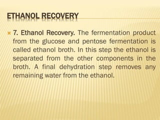 bioprocess and Bioreactor presentation.pdf