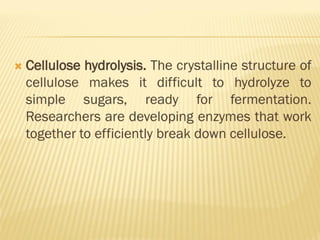 bioprocess and Bioreactor presentation.pdf