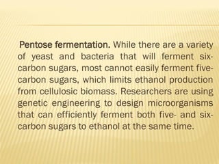 bioprocess and Bioreactor presentation.pdf