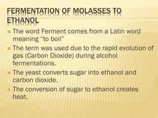 bioprocess and Bioreactor presentation.pdf