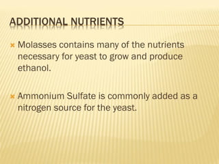 bioprocess and Bioreactor presentation.pdf