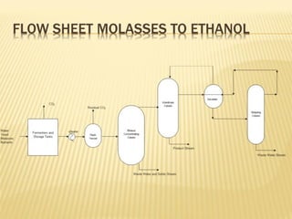bioprocess and Bioreactor presentation.pdf