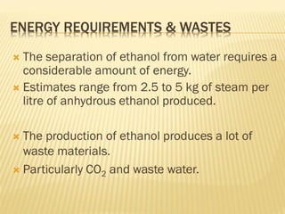 bioprocess and Bioreactor presentation.pdf