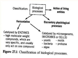 bioprocess and Bioreactor presentation.pdf