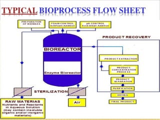 bioprocess and Bioreactor presentation.pdf