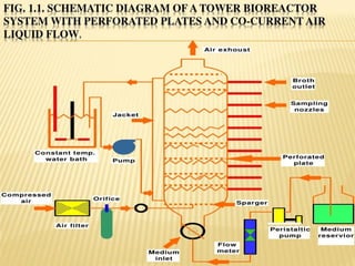 bioprocess and Bioreactor presentation.pdf