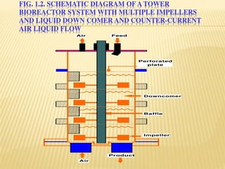 bioprocess and Bioreactor presentation.pdf