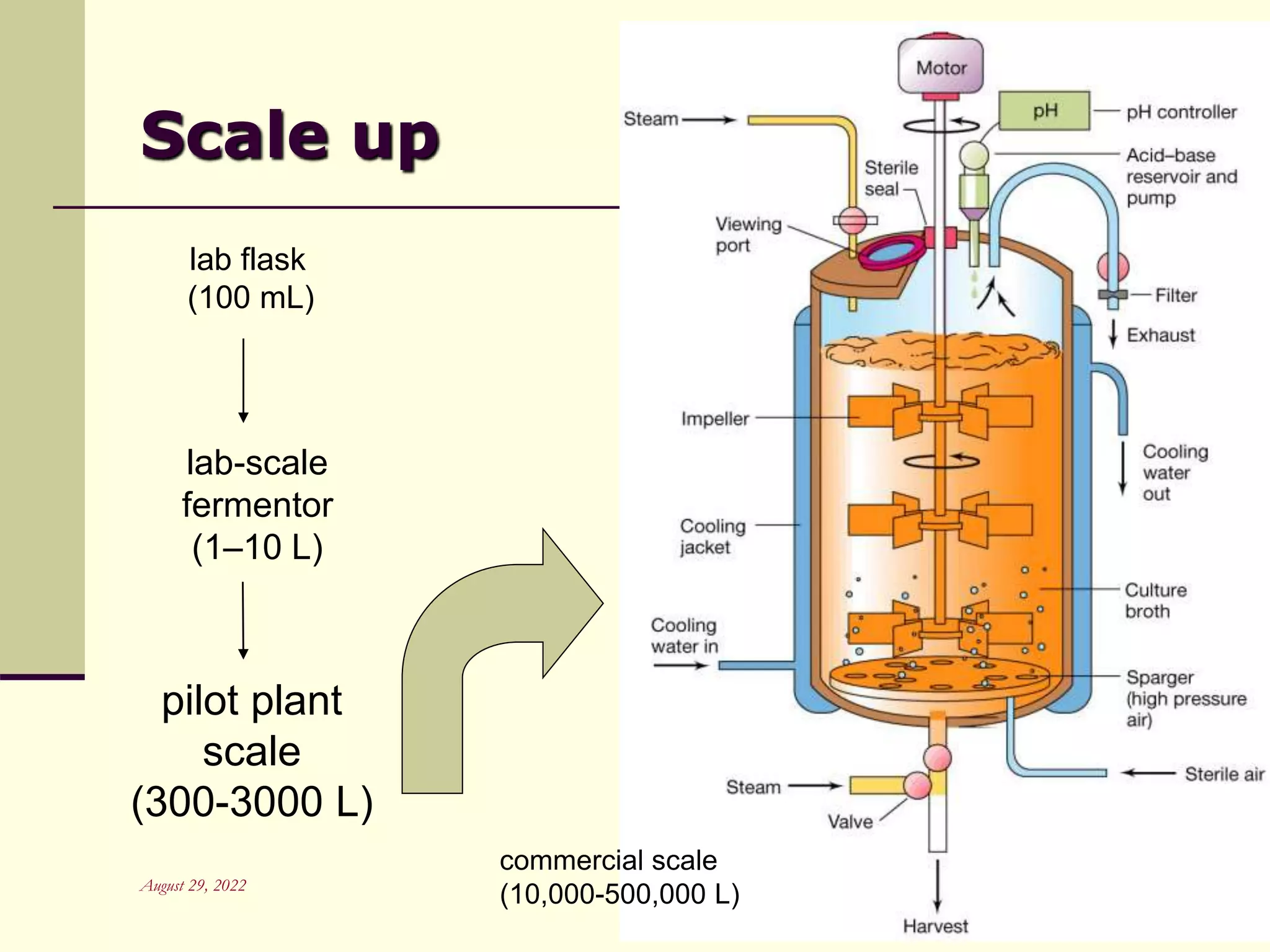 August 29, 2022 Unit Operation in a Bioprocess
(Upstream & Downstream)
lab flask
(100 mL)
lab-scale
fermentor
(1–10 L)
pilot plant
scale
(300-3000 L)
commercial scale
(10,000-500,000 L)
Scale up
 