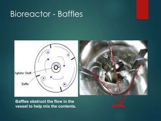Bioreactor - Baffles
Baffle
Baffles obstruct the flow in the
vessel to help mix the contents.
 