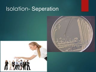 Isolation- Seperation
 