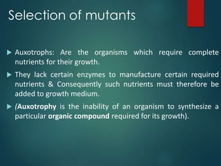 Selection of mutants
 Auxotrophs: Are the organisms which require complete
nutrients for their growth.
 They lack certain enzymes to manufacture certain required
nutrients & Consequently such nutrients must therefore be
added to growth medium.
 (Auxotrophy is the inability of an organism to synthesize a
particular organic compound required for its growth).
 