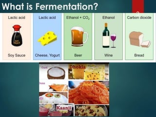 What is Fermentation?
3
 
