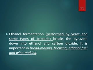  Ethanol fermentation (performed by yeast and
some types of bacteria) breaks the pyruvate
down into ethanol and carbon dioxide. It is
important in bread-making, brewing, ethanol fuel
and wine-making.
51
 