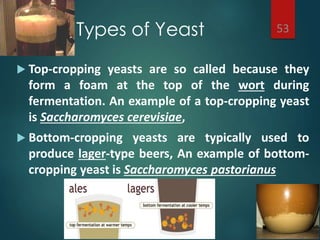 Types of Yeast
 Top-cropping yeasts are so called because they
form a foam at the top of the wort during
fermentation. An example of a top-cropping yeast
is Saccharomyces cerevisiae,
 Bottom-cropping yeasts are typically used to
produce lager-type beers, An example of bottom-
cropping yeast is Saccharomyces pastorianus
53
 