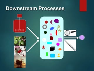 Downstream Processes
 