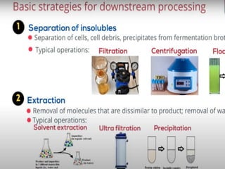Introduction to Purification
Many biological processes require a
purification scheme to reduce the
fermentation broth to its pure final
product.
By Extracting Intra cellular or Extra
cellular components
 