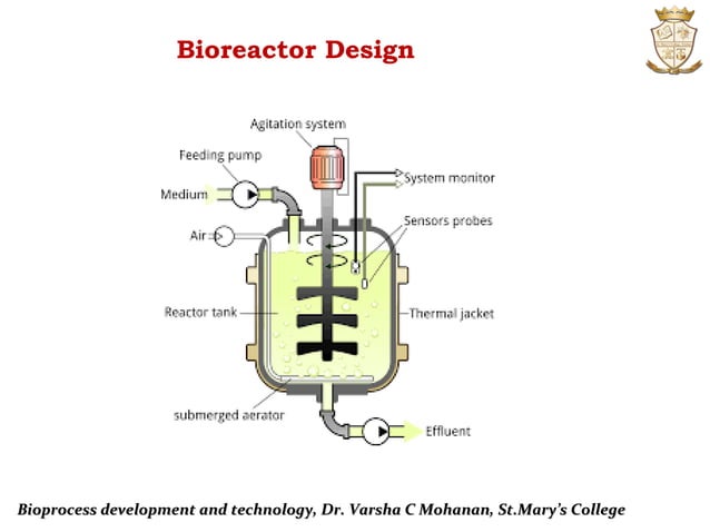 Biotechnology:Bioprocess development and technology | PPT