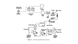 Bio process engineering chapter 1 (1)-1.pptx