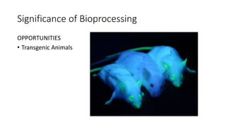 Significance of Bioprocessing
OPPORTUNITIES
• Transgenic Animals
 