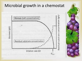 Microbial growth in a chemostat
 