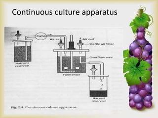 Continuous culture apparatus
 