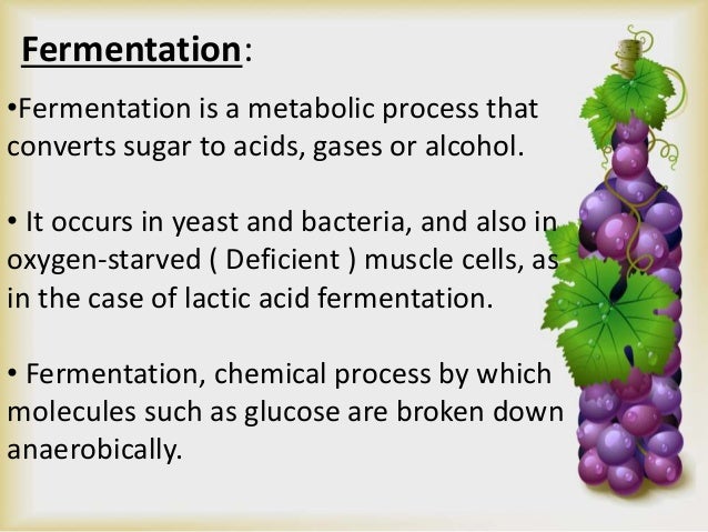 Modes of fermentation - MoDes Of Fermentation 2 638