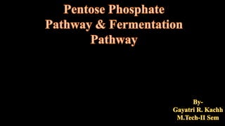 Bioprocess ppt | PPTX