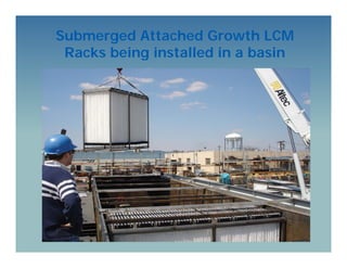 Submerged Rumble Racks Innovative Techonolgies - Membrane and Moving Bed Biofilm Reactor | PDF
