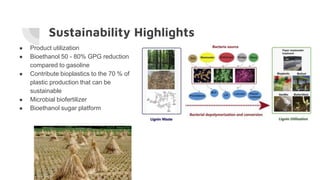 Sustainability Highlights
● Product utilization
● Bioethanol 50 - 80% GPG reduction
compared to gasoline
● Contribute bioplastics to the 70 % of
plastic production that can be
sustainable
● Microbial biofertilizer
● Bioethanol sugar platform
 