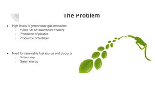 The Problem
● High levels of greenhouse gas emissions
○ Fossil fuel for automotive industry
○ Production of plastics
○ Production of fertilizer
● Need for renewable fuel source and products
○ Oil industry
○ Green energy
 