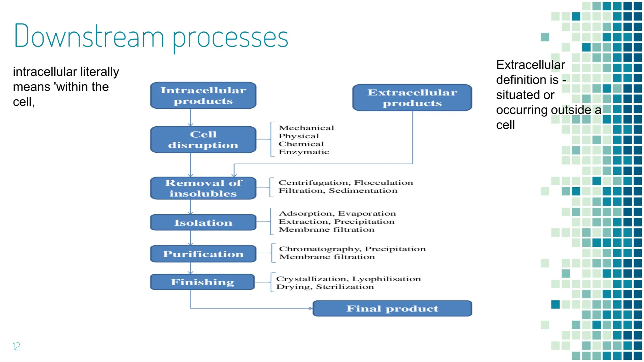 Downstream processes
12
intracellular literally
means 'within the
cell,
Extracellular
definition is -
situated or
occurring outside a
cell
 