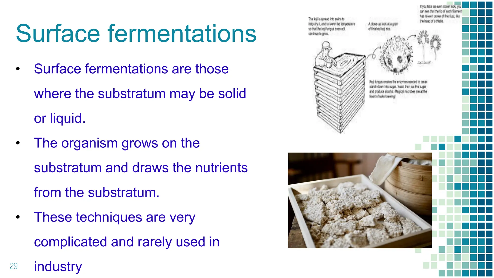 Surface fermentations
29
• Surface fermentations are those
where the substratum may be solid
or liquid.
• The organism grows on the
substratum and draws the nutrients
from the substratum.
• These techniques are very
complicated and rarely used in
industry
 