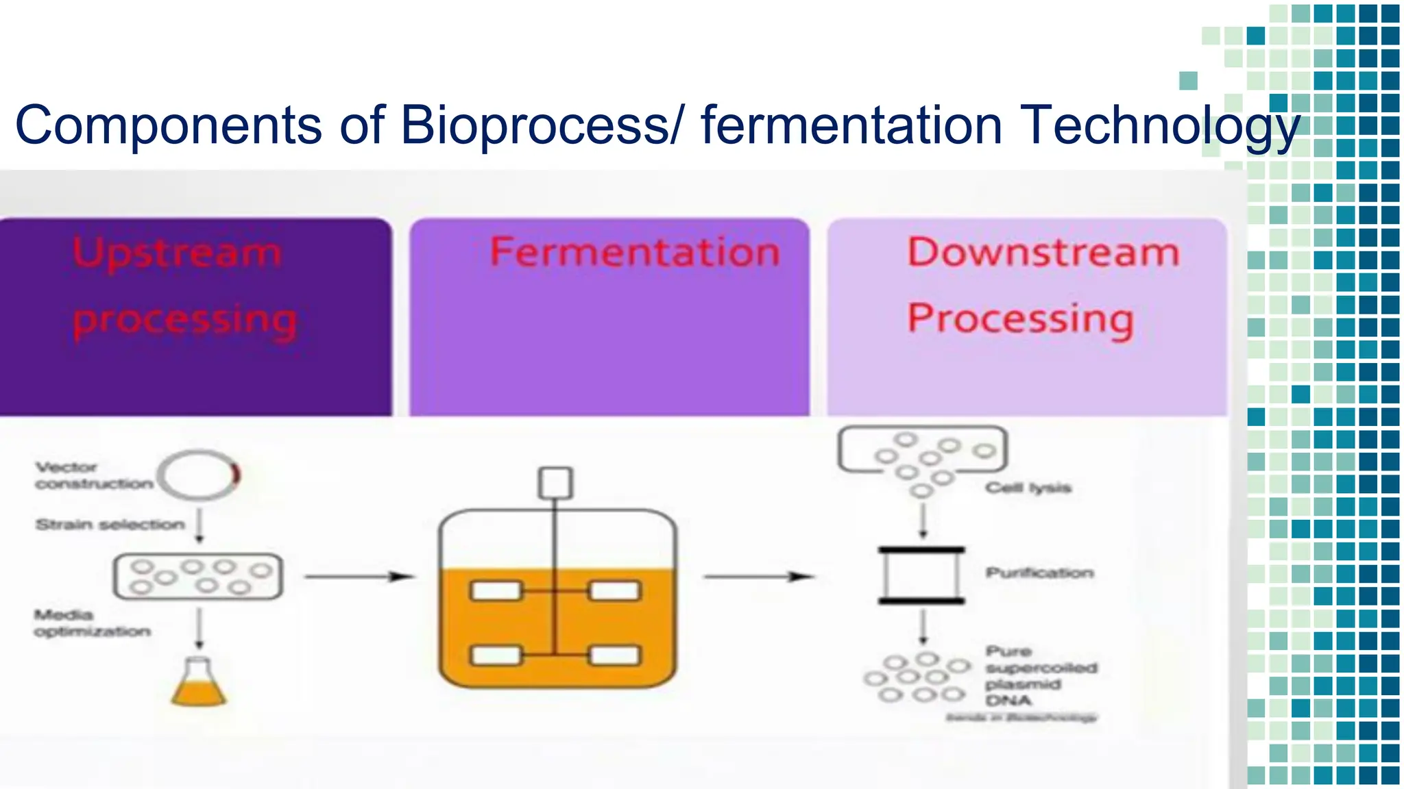 Components of Bioprocess/ fermentation Technology
3
 