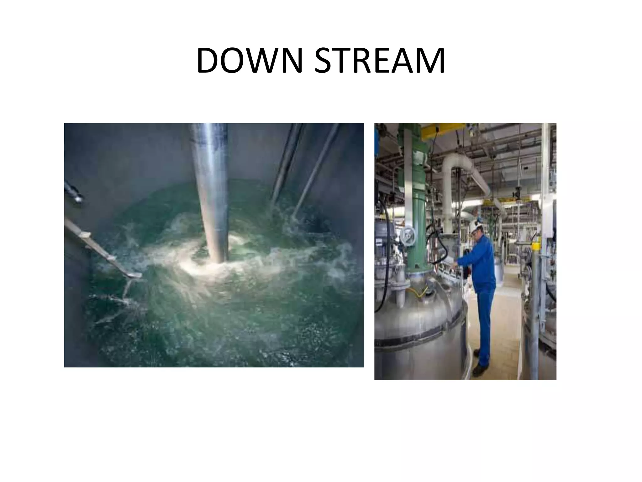 DOWN STREAM