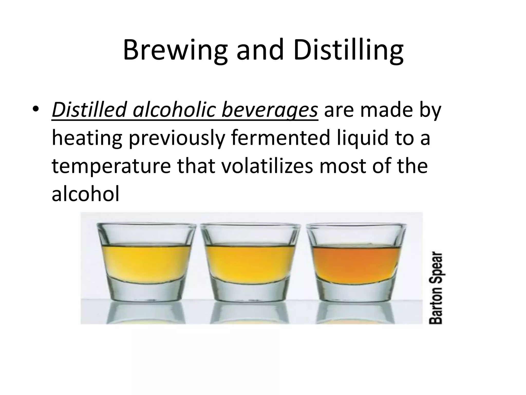 Brewing and Distilling
• Distilled alcoholic beverages are made by
heating previously fermented liquid to a
temperature that volatilizes most of the
alcohol