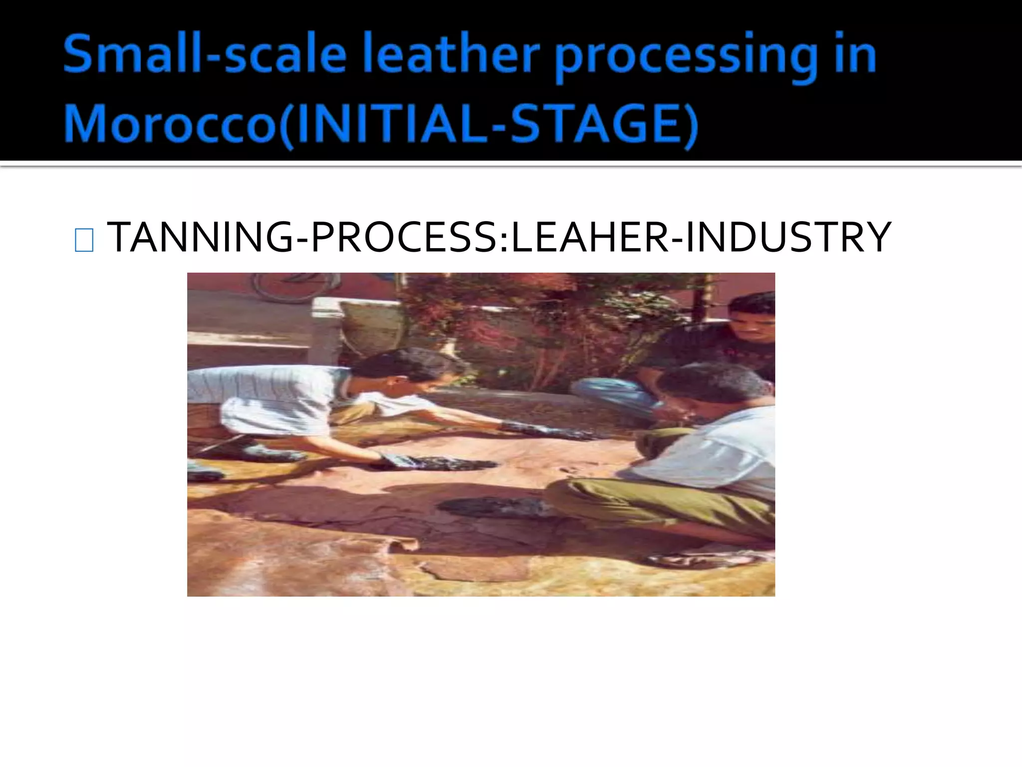 TANNING-PROCESS:LEAHER-INDUSTRY