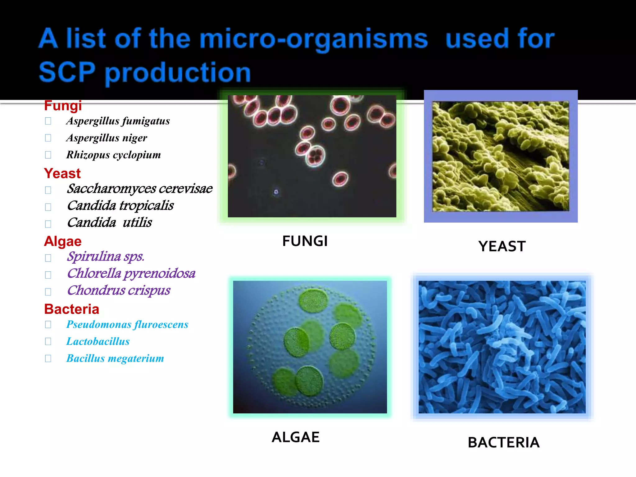 Fungi
Aspergillus fumigatus
Aspergillus niger
Rhizopus cyclopium
Yeast
Saccharomyces cerevisae
Candida tropicalis
Candida utilis
Algae
Spirulina sps.
Chlorella pyrenoidosa
Chondrus crispus
Bacteria
Pseudomonas fluroescens
Lactobacillus
Bacillus megaterium
FUNGI YEAST
BACTERIAALGAE