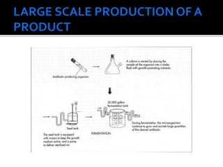 Bioprocess technology,, | PPTX