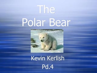 The
Polar Bear
Kevin Kerlish
Pd.4
 