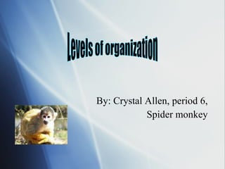 By: Crystal Allen, period 6, Spider monkey Levels of organization 