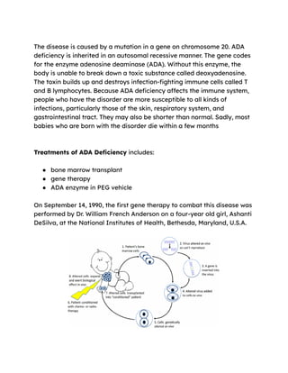Bio project.pdf