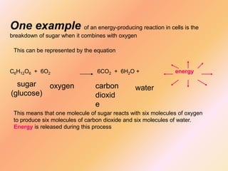 One example of an energy-producing reaction in cells is the
breakdown of sugar when it combines with oxygen
This can be represented by the equation
C6H12O6 + 6O2 6CO2 + 6H2O + energy
sugar
(glucose)
oxygen carbon
dioxid
e
water
This means that one molecule of sugar reacts with six molecules of oxygen
to produce six molecules of carbon dioxide and six molecules of water.
Energy is released during this process
 