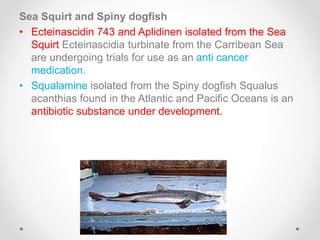 Sea Squirt and Spiny dogfish
• Ecteinascidin 743 and Aplidinen isolated from the Sea
Squirt Ecteinascidia turbinate from the Carribean Sea
are undergoing trials for use as an anti cancer
medication.
• Squalamine isolated from the Spiny dogfish Squalus
acanthias found in the Atlantic and Pacific Oceans is an
antibiotic substance under development.
 
