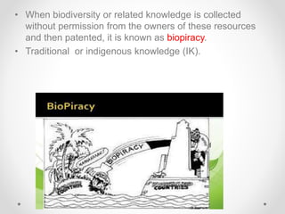 • When biodiversity or related knowledge is collected
without permission from the owners of these resources
and then patented, it is known as biopiracy.
• Traditional or indigenous knowledge (IK).
 
