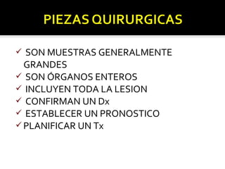  SON MUESTRAS GENERALMENTE
  GRANDES
 SON ÓRGANOS ENTEROS
 INCLUYEN TODA LA LESION
 CONFIRMAN UN Dx
 ESTABLECER UN PRONOSTICO
 PLANIFICAR UN Tx
 