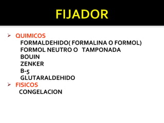    QUIMICOS
      FORMALDEHIDO( FORMALINA O FORMOL)
      FORMOL NEUTRO O TAMPONADA
      BOUIN
      ZENKER
      B-5
      GLUTARALDEHIDO
   FISICOS
     CONGELACION
 
