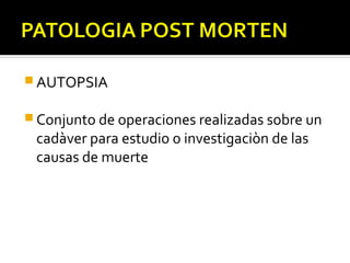  AUTOPSIA

 Conjunto de operaciones realizadas sobre un
 cadàver para estudio o investigaciòn de las
 causas de muerte
 