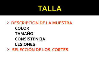  DESCRIPCIÓN DE LA MUESTRA
   COLOR
   TAMAÑO
   CONSISTENCIA
   LESIONES
 SELECCIÓN DE LOS CORTES
 